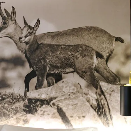 Planinarski Dom Vosac 酒店 *